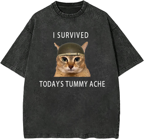 Survived Todays Tummy Ache Y2k Tee,Retro Funny Meme Unisex Tee,Vintage Graphic Tee